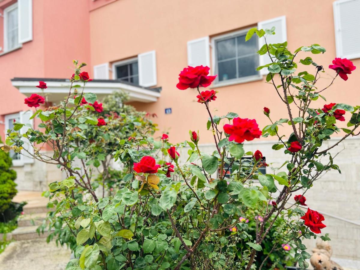 Casa Cino Apartment Umag Bagian luar foto
